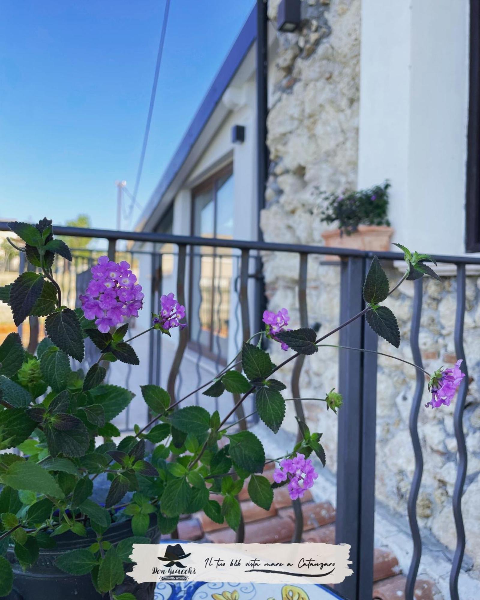 Don Giacchi Country House 카탄차로 외부 사진