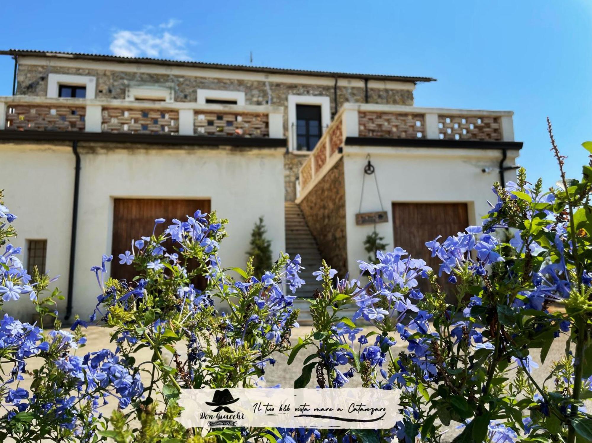 Don Giacchi Country House 카탄차로 외부 사진